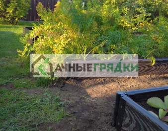 WhatsApp Image 2021-08-28 at 18.07.23
